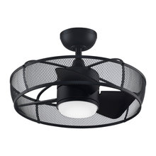 cieling fans