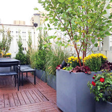 Vegetable garden