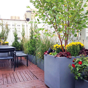 Upper West Side, NYC Roof Garden: Terrace Deck, Fence, Container Plants, Outdoor