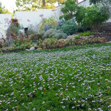 Grass Alternative