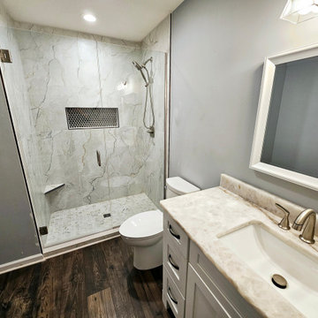 Contemporary Bathroom Remodel