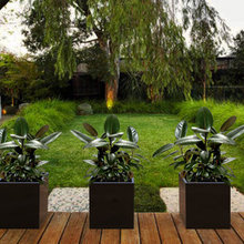 Exterior Planters
