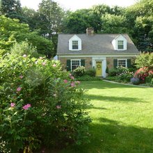 flowers in gardens