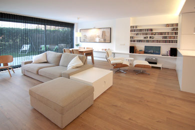 Living room - contemporary living room idea in Madrid