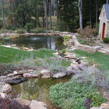 Ponds & Waterfalls