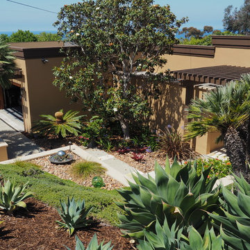 La Jolla Refresh