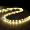 DELight 50' 2-Wire LED Rope Light Outdoor Home Decoration, Warm White