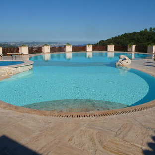 Cette image montre une grande piscine arrière sur mesure avec des pavés en pierre naturelle.