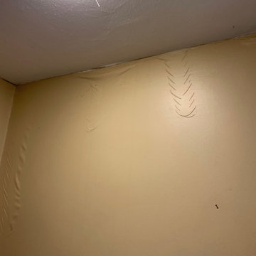Water mitigation boston