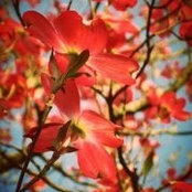 Marcia Barton's photo