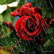 Michele Moze's photo