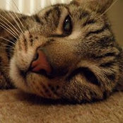 Pammy Boudreaux's photo