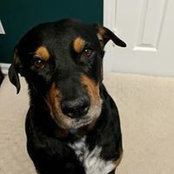 Brandon Winstead's photo