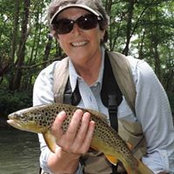 Kim Hampton's photo