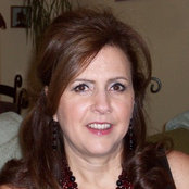 aradaniss foto