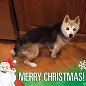 Heather Ratzlaff-Oehler's photo