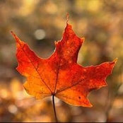 Foto von Lisa Quintus