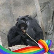 Darcey Goldberg's photo