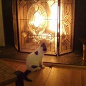 Beverly Littlefield's photo