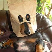 Зухра Колдолари's photo