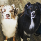 Heather Covington's photo