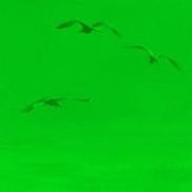 Stefan Kopinski's photo