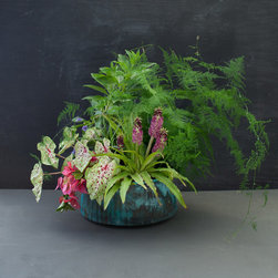 The Plant Recipe Book - Products