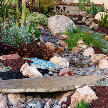 Lake Forest HOA Home Front Yard Remodel with Drought Tolerant Succulent Garden