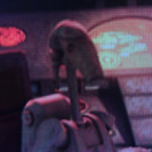 Zayaan 's Bedroom
