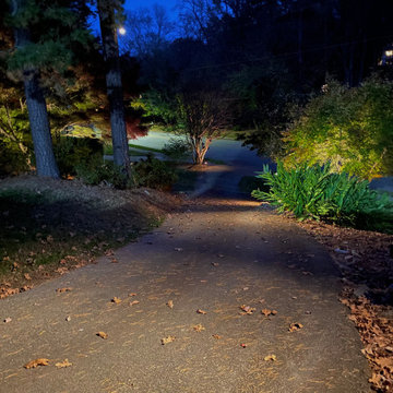 Front yard lighting