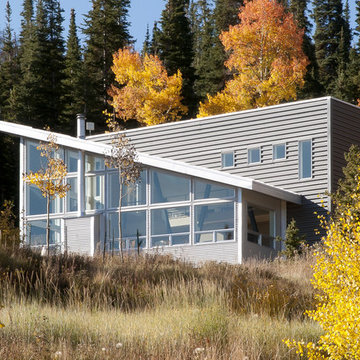 MODERN MOUNTAIN CABIN
