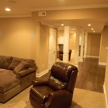 Basement Remodel