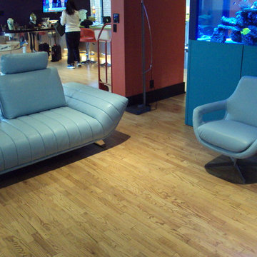 Shelly Sectional & Tulip Chair