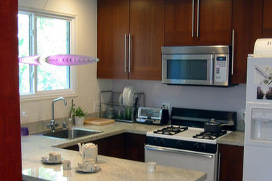 Kitchen - contemporary kitchen idea in San Francisco