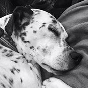 Brian Heath's photo