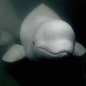 Wendy Griffith's photo