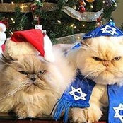 Dan Firooz's photo