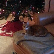 Julie Dunn's photo