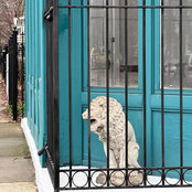 Sophie Dangerfield's photo