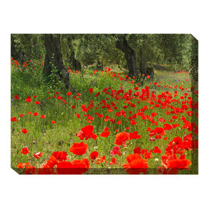 Wildflower Grove Outdoor Art Contemporary Outdoor Wall Art By West Of The Wind