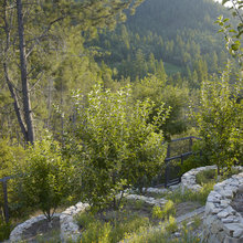 Orchards