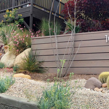 Conscious Stream Scape- Silverlake