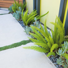Front Landscaping