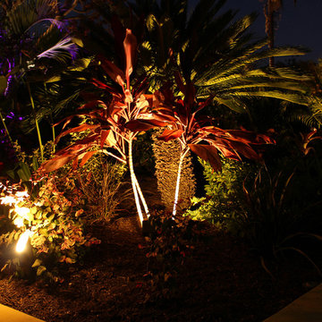 Landscape Lighting