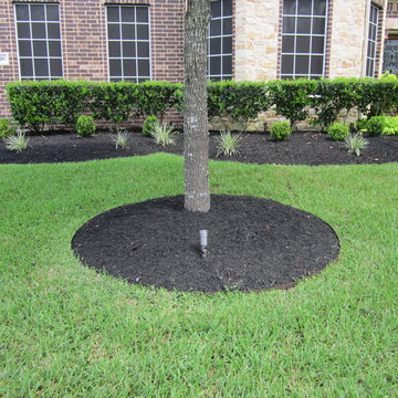 Landscape Lighting