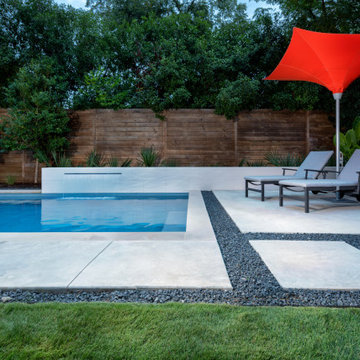 NorthWest Dallas Modern Pool + Spa