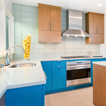 Mid-Century Modern Kitchen with Greenfield Cabinetry