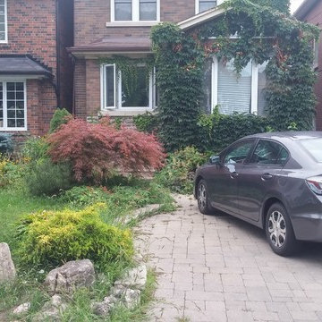 Garden Cleanup Before & After