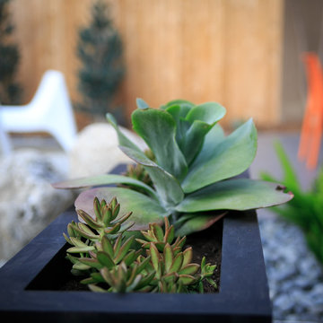 Artistic Retreat With Colorful Design Style - Blue Glow Agave