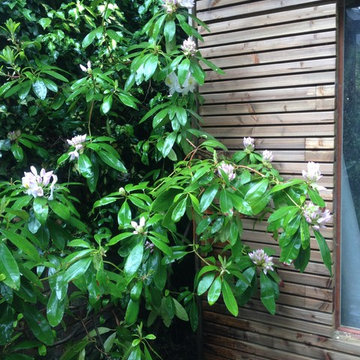 Abri de jardin